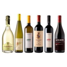 イタリアwaiwaiワイン6本セット