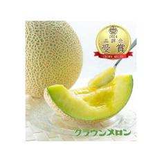 【敬老の日】<クラウンメロン> 2024年品評会受賞限定 マスクメロン