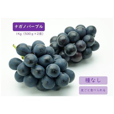 【敬老の日】＜JA全農長野＞皮ごと食べられる種なしぶどう 「ナガノパープル」2房