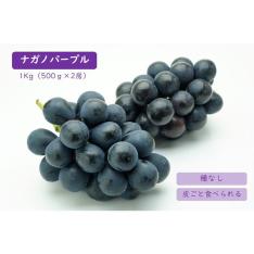 【敬老の日】<JA全農長野>皮ごと食べられる種なしぶどう 「ナガノパープル」2房