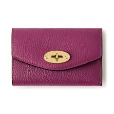 ダーリー フォールデッド マルチカード ウォレット