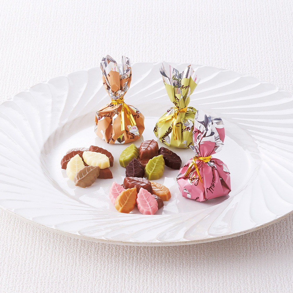 リーフメモリーギフトボックス 55個入