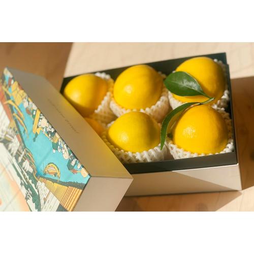 ［ハウス栽培］日向夏プレミアム6