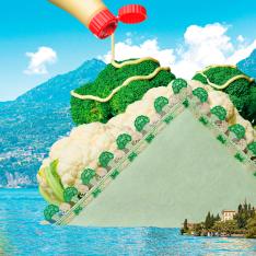 シーズンタオルハンカチ ブロッカリ