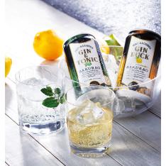 〈サクラオB＆D〉ノンアルコールジントニック・ジンバックセット