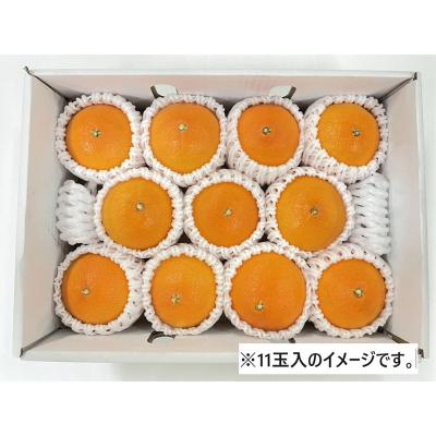 愛媛県産 紅まどんな福袋（M～２L混載）