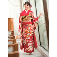 振袖（未仕立品） 裂御所解