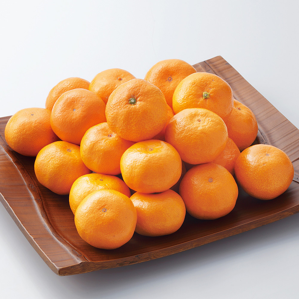 日本橋 千疋屋総本店 ハウスみかん 商品詳細 高島屋オンラインストア