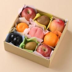 【最適な時期に収穫し、順次発送予定】夏の果物詰合せ9マス
