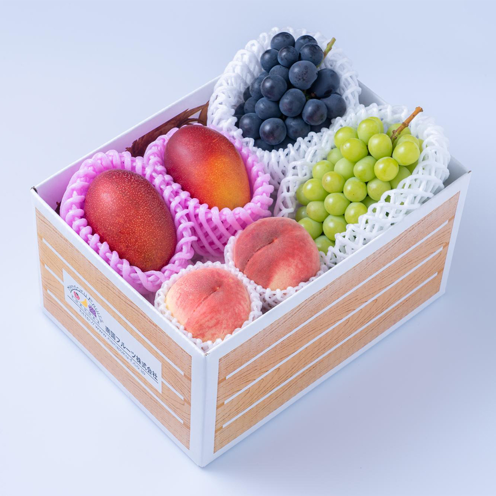 【最適な時期に収穫し、順次発送予定】旬のフルーツセットN10