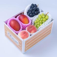 【最適な時期に収穫し、順次発送予定】旬のフルーツセットN10