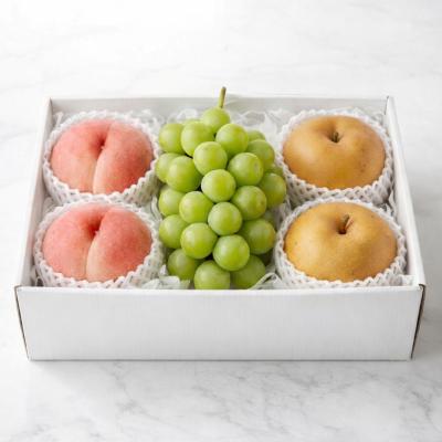 フルーツ | フルーツ・野菜 | 【予算で探す】10,000円台 | 【2026