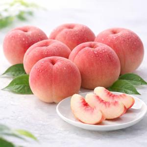 果物 フルーツ・野菜 | 【2026】お中元・夏ギフト | 高島屋のギフト