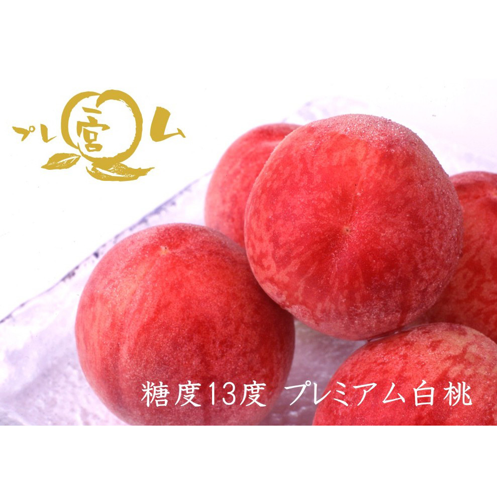 【最適な時期に収穫し、順次発送予定】JAふえふき一宮　糖度13度プレミアム白桃