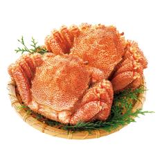 北海道産 毛がに430g×2杯