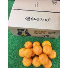 特別栽培温州みかん