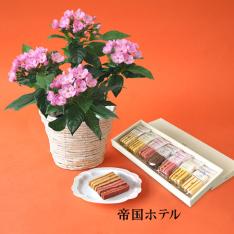 【敬老の日】ルクリア&<帝国ホテル>スティックバウム