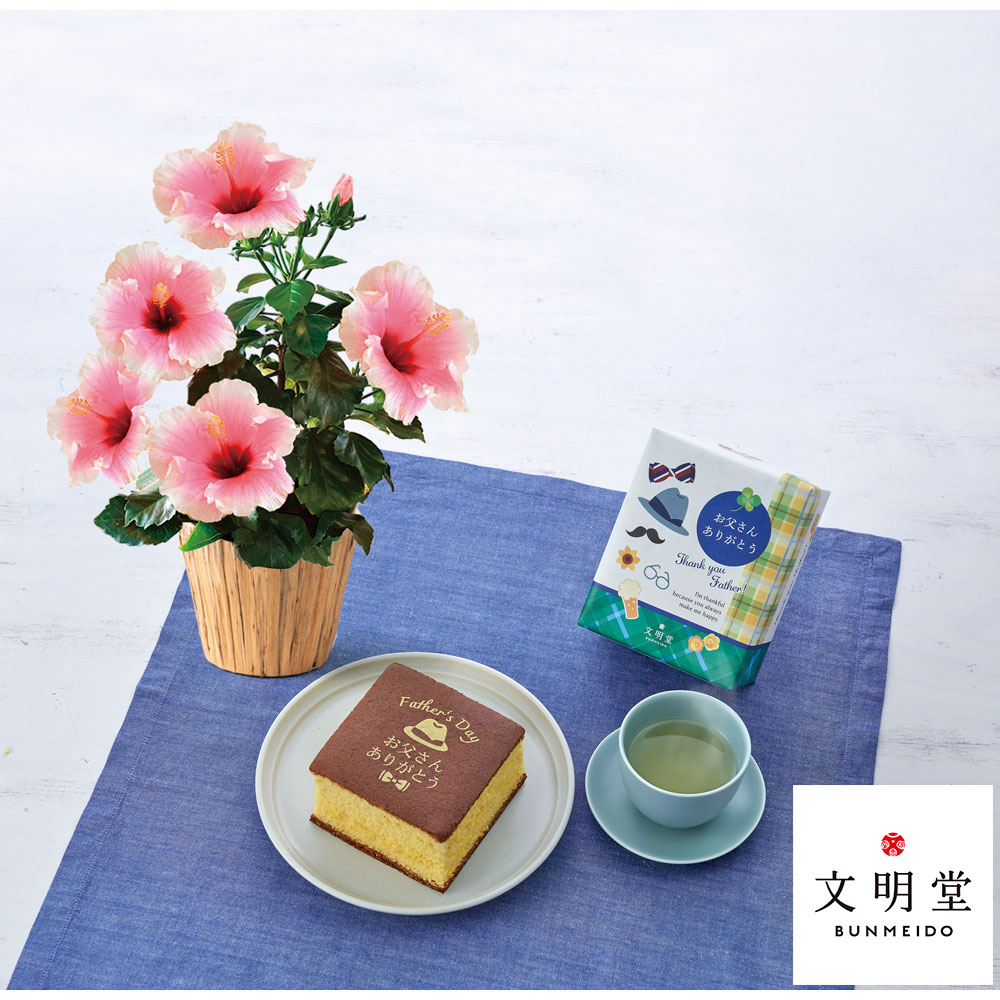 【父の日】生花 ロングライフハイビスカス「グレイス」＆＜文明堂東京＞父の日カステラS