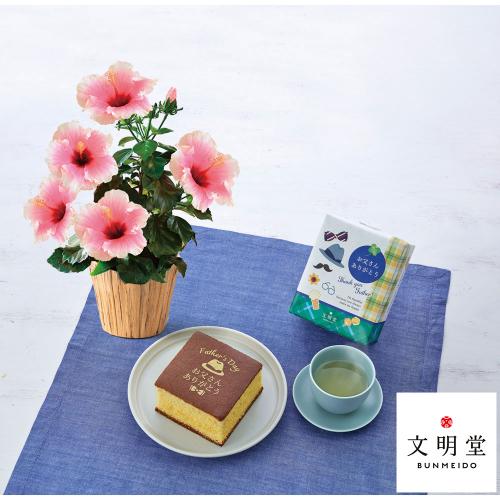 【父の日】生花 ロングライフハイビスカス「グレイス」＆＜文明堂東京＞父の日カステラS