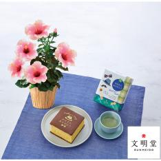【父の日】生花 ロングライフハイビスカス「グレイス」＆＜文明堂東京＞父の日カステラS