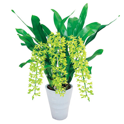 高島屋オンラインストア