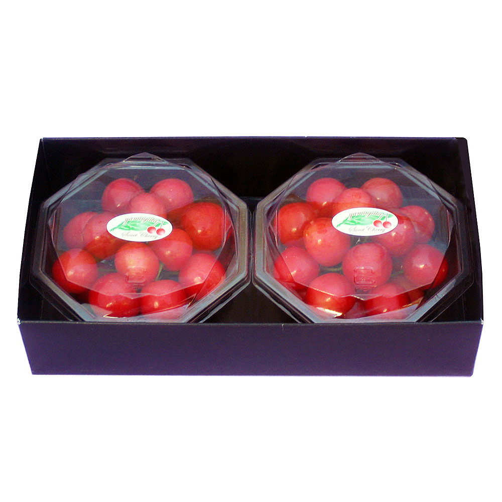 【母の日】山形ハウスさくらんぼ（佐藤錦）200g