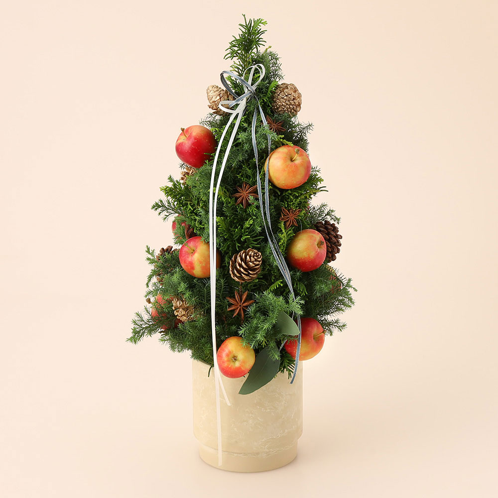 【クリスマス】フラワーアレンジメント「アップルツリー」