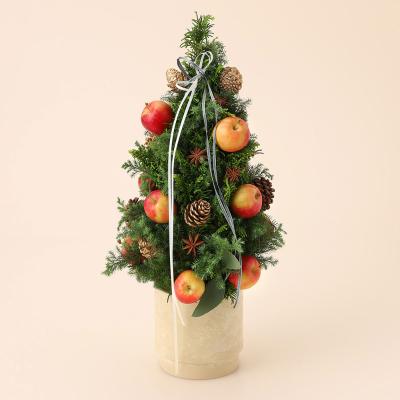 アレンジメントほか | リース・スワッグ・アレンジメント | クリスマス