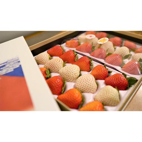 【母の日】宮崎完熟「紅白苺」HOKUSAIGIFT(小花付)