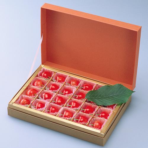 【母の日】ハウス栽培佐藤錦箱