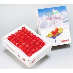 【母の日】ﾊｳｽ栽培さくらんぼ佐藤錦