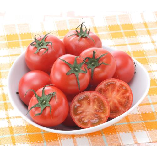 【母の日】茨城県産スーパーフルーツトマト