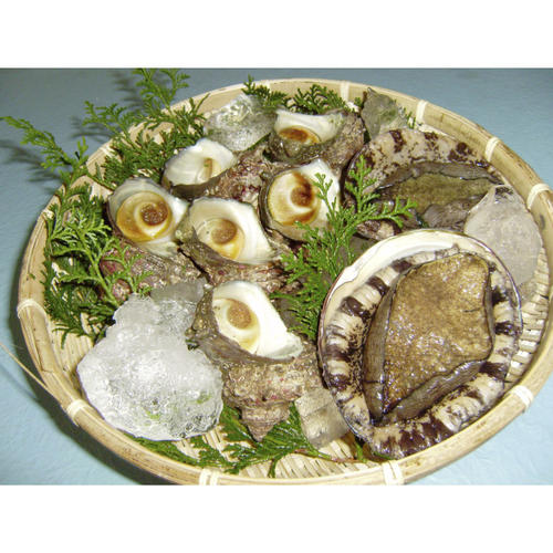 お魚センターみくりや あわび さざえ海の貝セット 商品詳細 高島屋オンラインストア