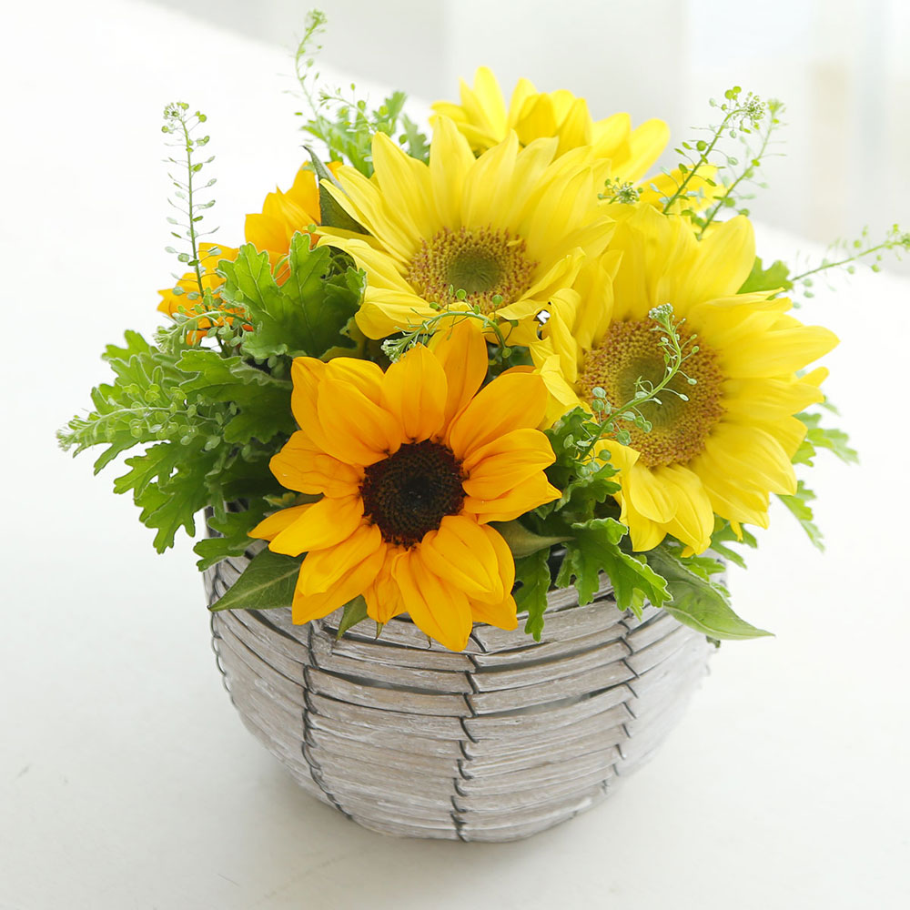 【父の日】ひまわりアレンジ
