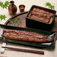 【父の日】薩摩川内うなぎ長蒲焼特大（186g）2尾