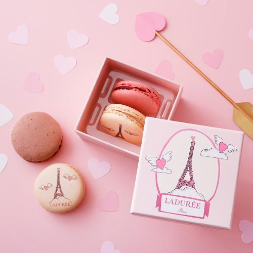 アムール・ド・パリ マカロン2個入り