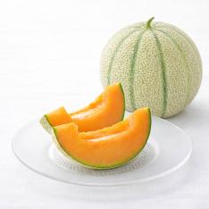 【父の日】福井県産マルセイユメロン（4L）