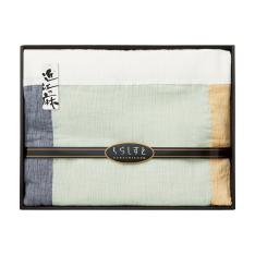 〈くらしすと〉近江ちぢみ　洗える肌掛ふとん
