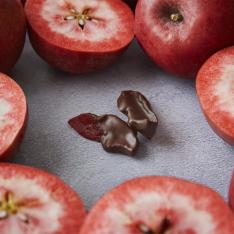 「ジェネバ」りんごチョコレート