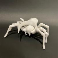 ＜堀　貴春＞White spider Γ22