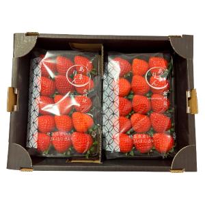 紅白苺詰合せ（12～15粒・桐箱入り） | 商品詳細 | 高島屋オンラインストア