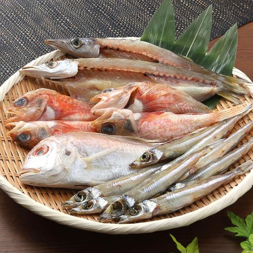 山陰海の幸干物セット 渚