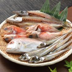 山陰海の幸干物セット 渚