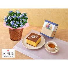 【敬老の日】生花 りんどう白寿&文明堂カステラ
