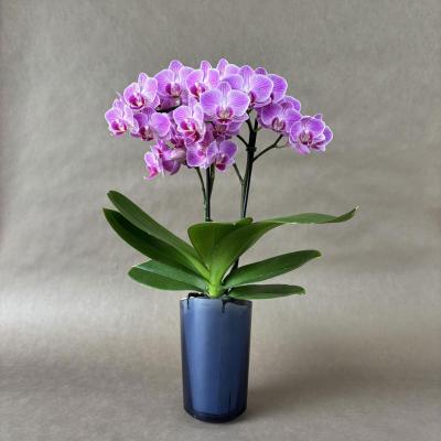 ✨美品☆生花鉢、華道家、価値ある華鉢！ ✨美品☆生花鉢、華道家、価値ある華鉢！