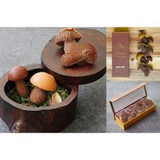 【敬老の日】フィナンシェ ポルチーニショコラ