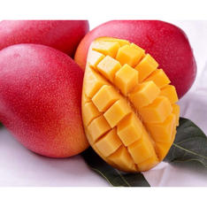 【母の日】＜西澤商店＞宮崎県産完熟マンゴー「太陽のタマゴ」3L～4Lサイズ2玉（カーネーション造花1本付）