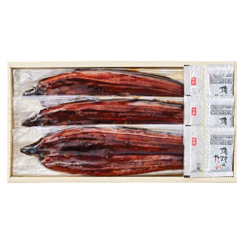 〈山田の鰻〉うなぎ蒲焼3尾セット