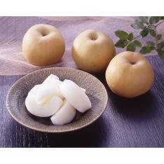 【敬老の日】山形県産刈屋梨