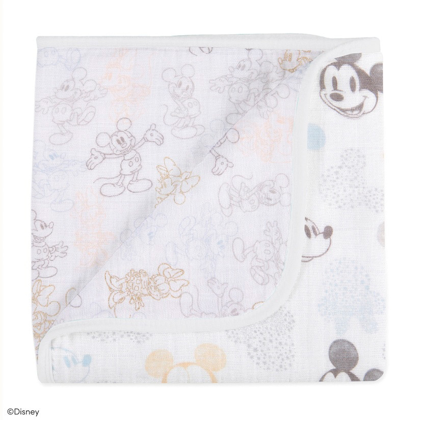 ブランケット／ミッキー＋ミニー／ベビーカーサイズ